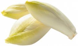 Endive, Belgium